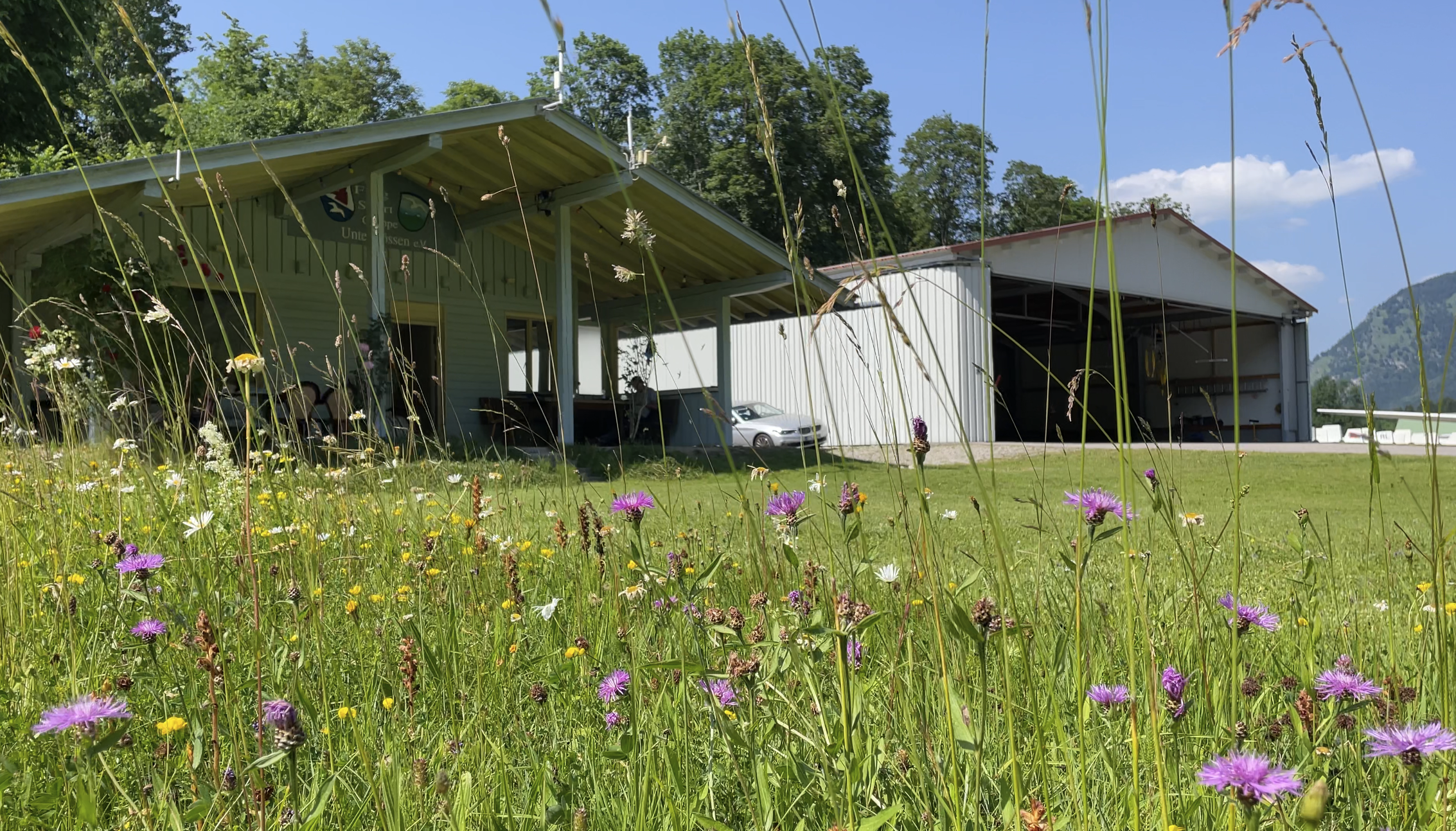 Die dekorative Blumenwiese (eigentlich gehört sie schon zu unserem Nachbarn)