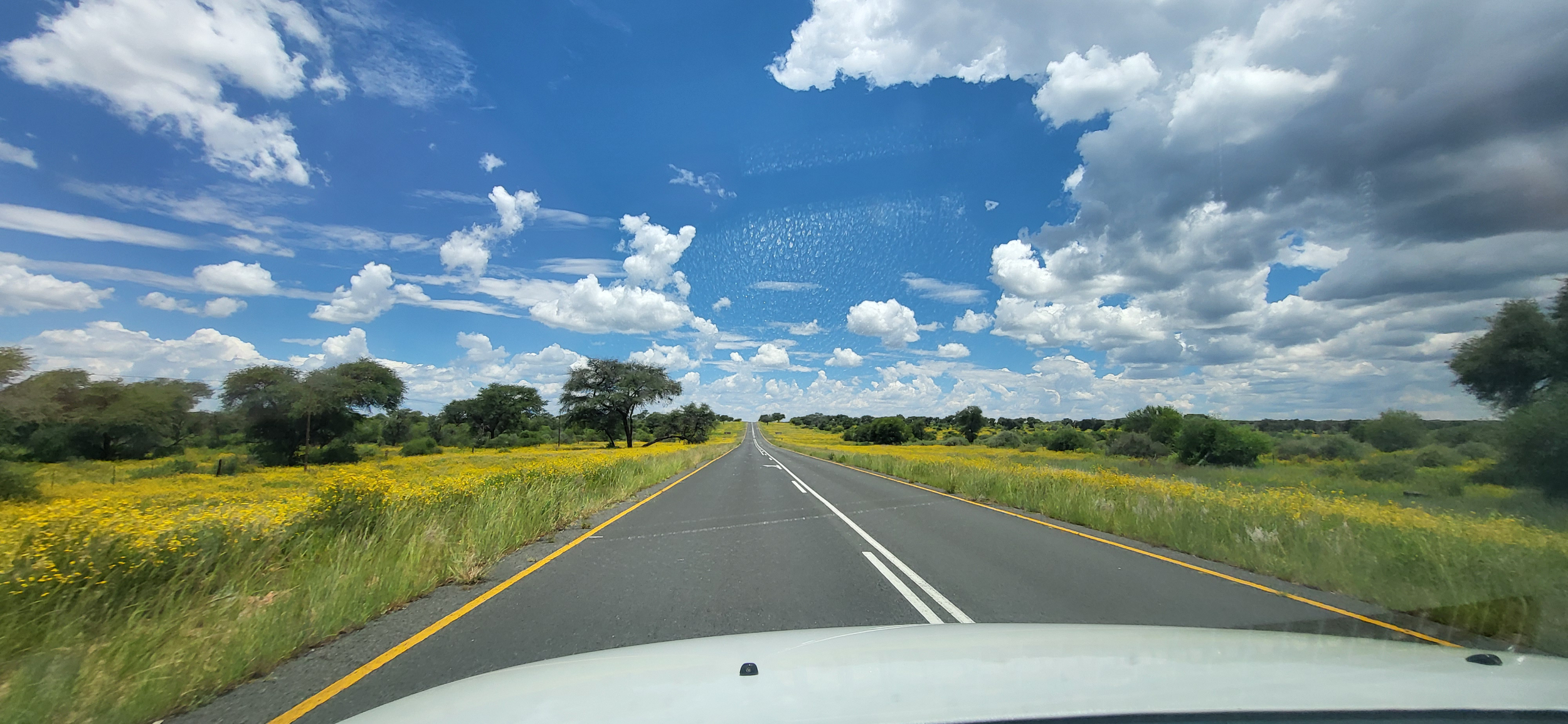 Die Anfahrt: kilometerlange Geraden durch eine vom Sommerregen in Goldgelb getauchte Kalahari.